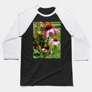 Coneflower in Garden Baseball T-Shirt